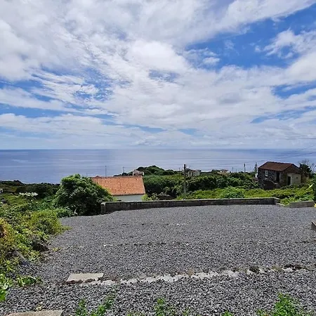 Adega Da Figueira * Calheta de Nesquim