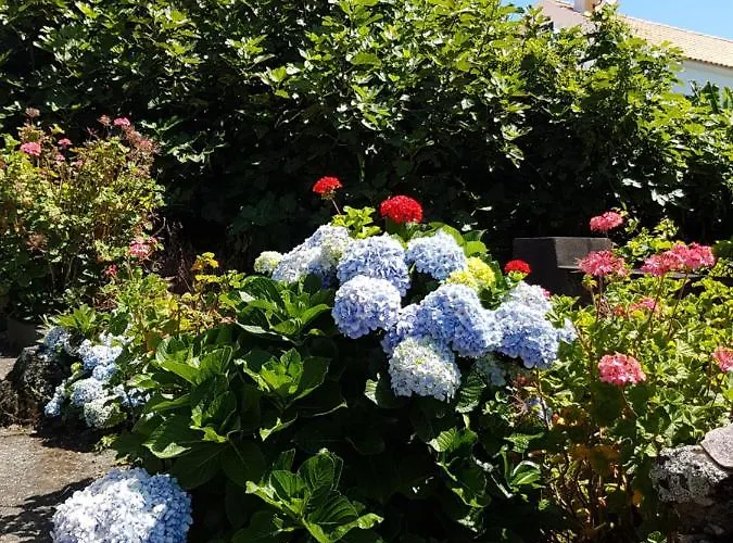 Adega Da Figueira Casa de Férias