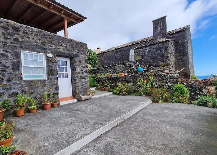 Adega Da Figueira Casa de Férias