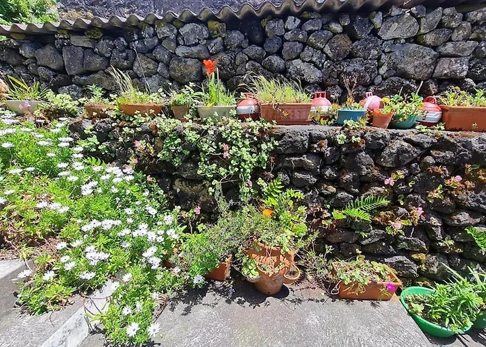 Adega Da Figueira Casa de Férias *