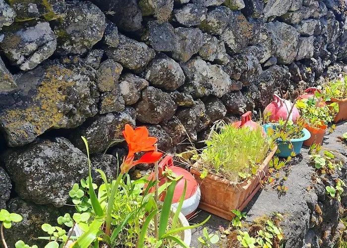 Casa de Férias Adega Da Figueira Calheta de Nesquim