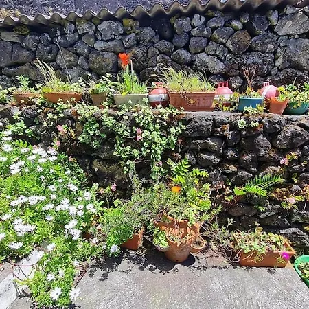 Adega Da Figueira بيت للعطل *