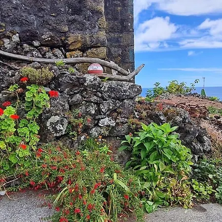 بيت للعطل Adega Da Figueira *