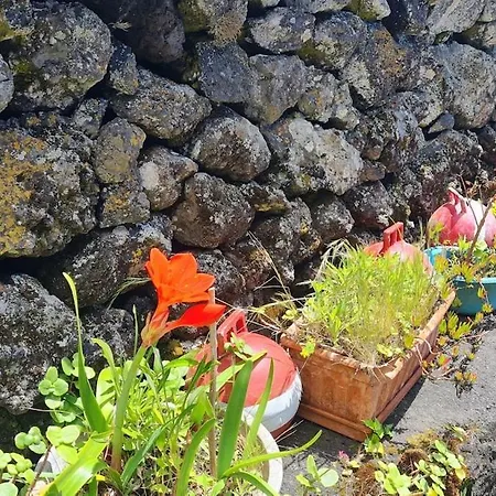 Holiday home Adega Da Figueira Calheta de Nesquim